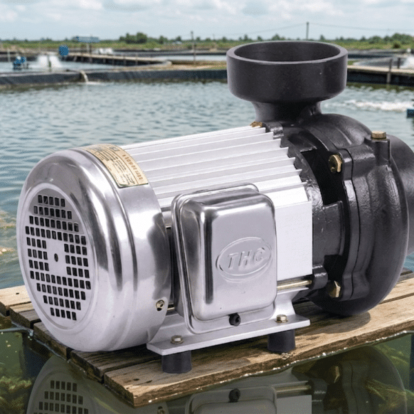 Máy bơm nước inox cho hồ nuôi trồng thủy hải sản