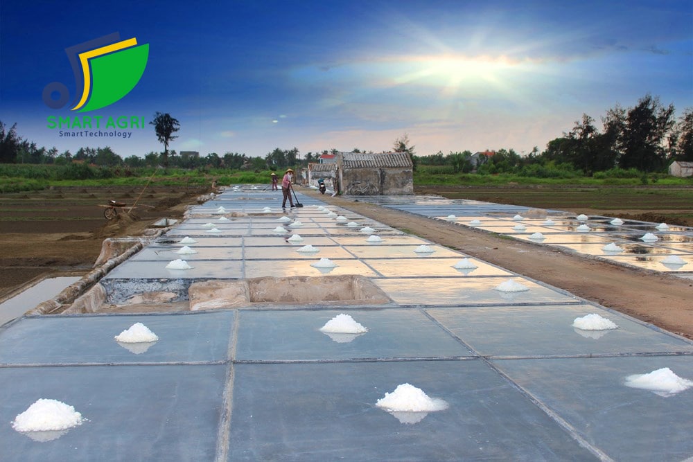 bat hdpe lot ruong muoi giai phap thong minh mang nhieu loi ich kinh te