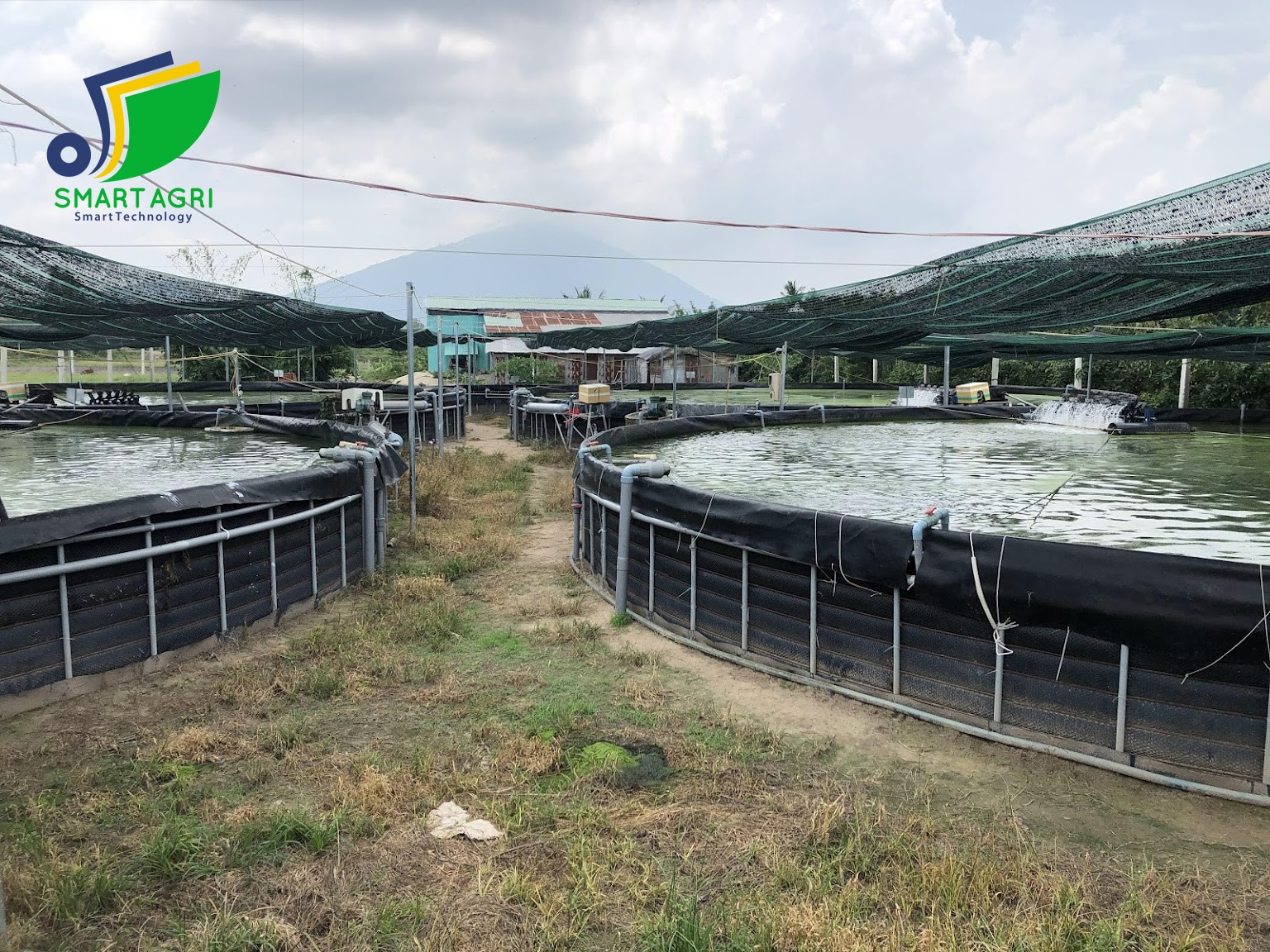 tay ninh nuoi ca chach lau cong nghe cao day dac trong be lot bat moi ban 2 tan nong d 1